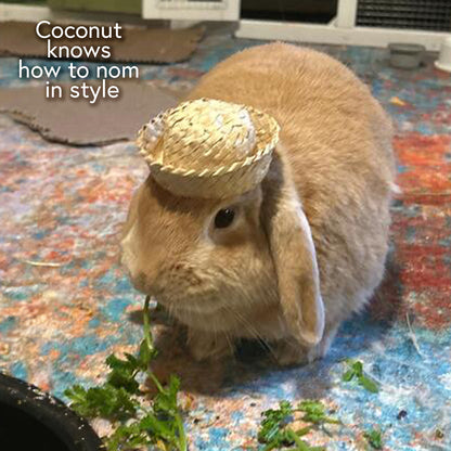 Mini Bunny Hat | NEW - BinkyBunny.com House Rabbit Store
