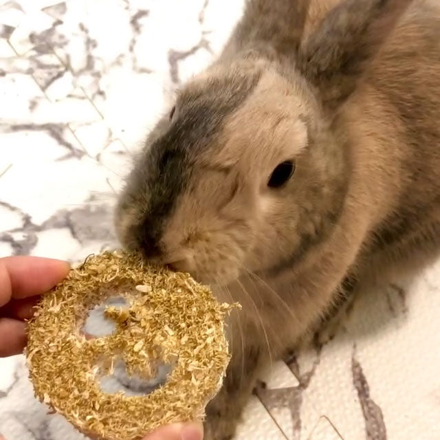 Flavored Lil' Loofah Variety Pack (5) | NEW