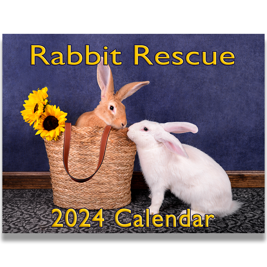 2024 Rabbit Rescue Calendar - BinkyBunny.com House Rabbit Store
