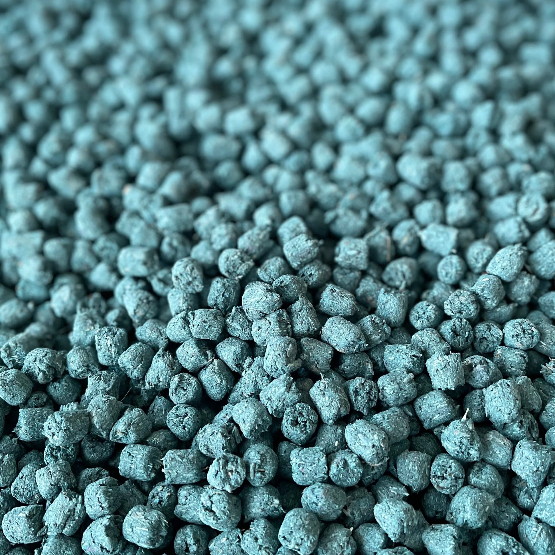 Calm Poppers | NEW - BinkyBunny.com House Rabbit Store