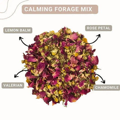 Calming Forage Mix  | NEW - BinkyBunny.com House Rabbit Store