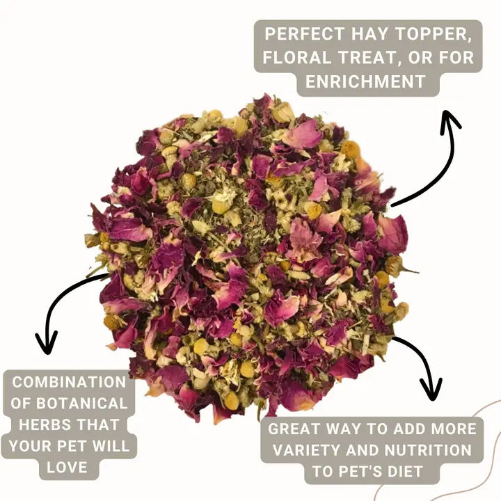 Calming Forage Mix  | NEW - BinkyBunny.com House Rabbit Store