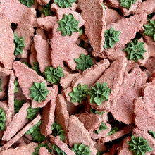 Carrot & Dill Biscuits - BinkyBunny.com House Rabbit Store