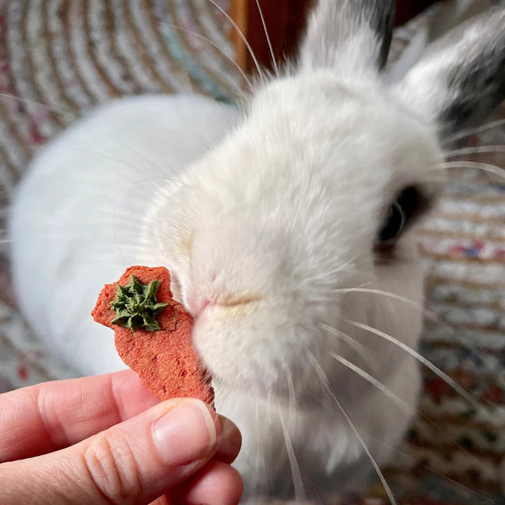 Carrot & Dill Biscuits - BinkyBunny.com House Rabbit Store