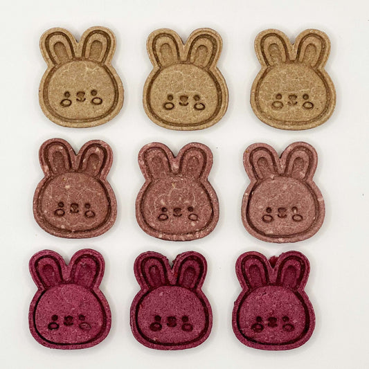 Colorful Bunnies - BinkyBunny.com House Rabbit Store