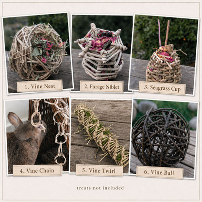 Forage & Fun Variety Pack - BinkyBunny.com House Rabbit Store