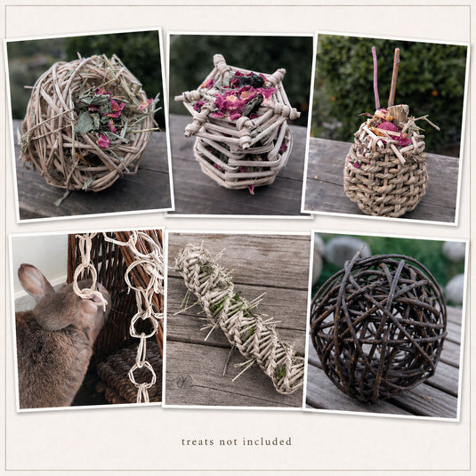 Forage & Fun Variety Pack - BinkyBunny.com House Rabbit Store