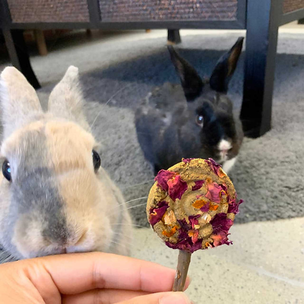 Pops Rabit Forage Pops for Rabbits | Hay & Floral Treat Sticks | BinkyBunny ...
