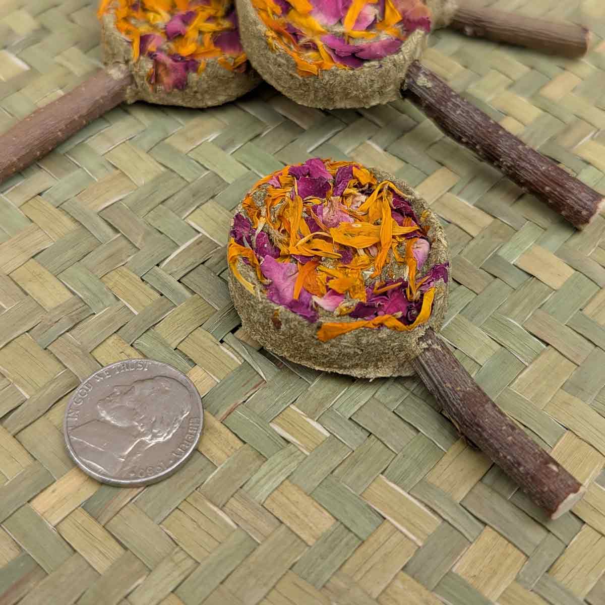 Forage Pops for Rabbits | Hay & Floral Treat Sticks | BinkyBunny ...