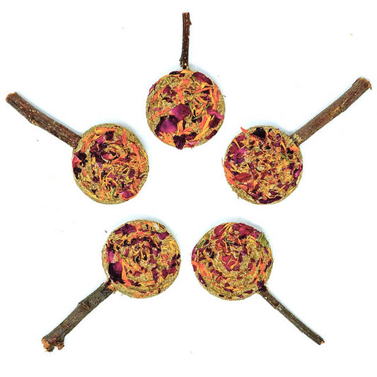 Forage Pops | NEW - BinkyBunny.com House Rabbit Store