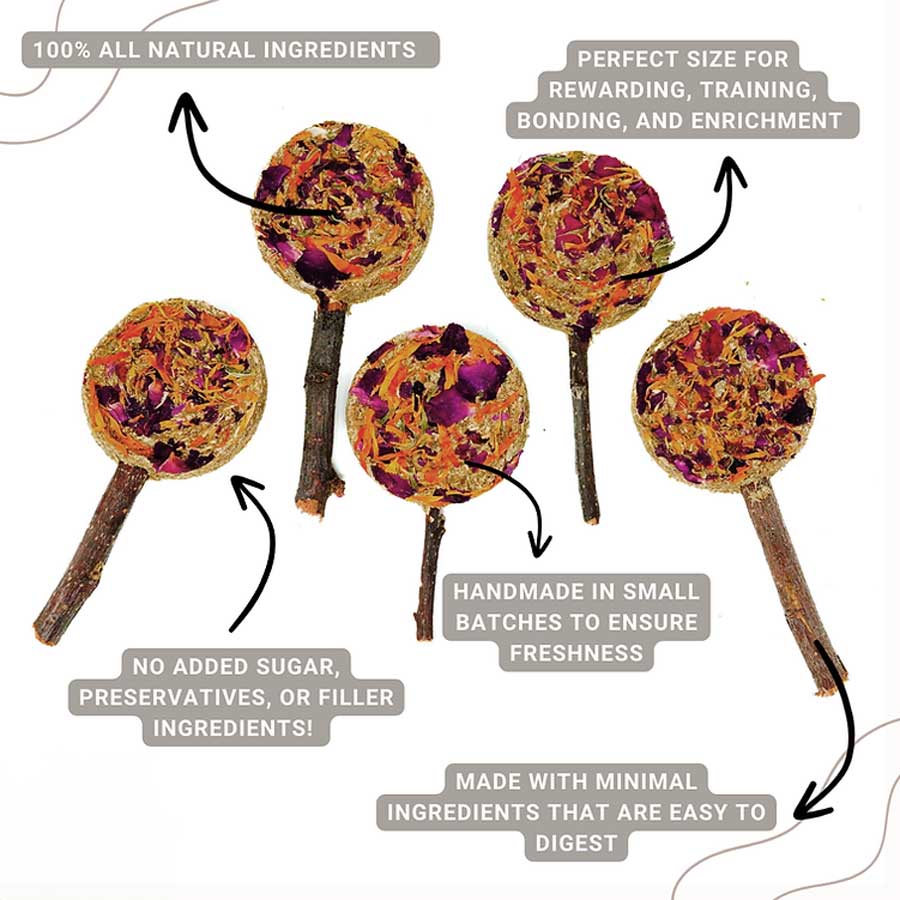 Forage Pops | NEW - BinkyBunny.com House Rabbit Store