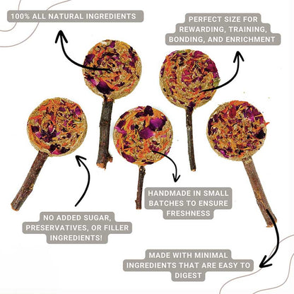 Forage Pops | NEW - BinkyBunny.com House Rabbit Store