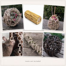 Forage & Fun Variety Pack