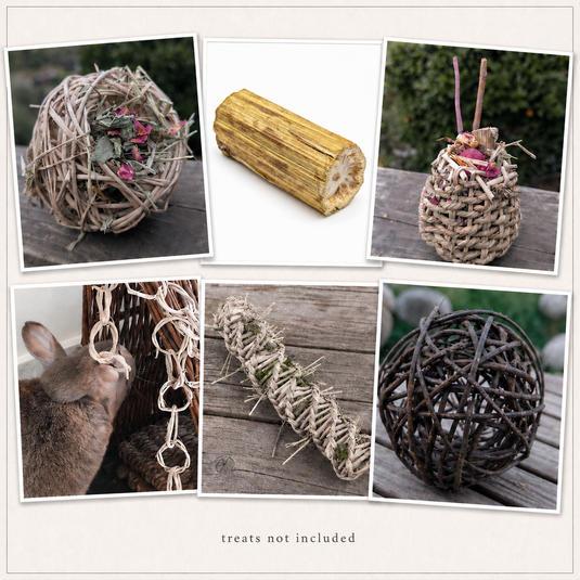Forage & Fun Variety Pack - BinkyBunny.com House Rabbit Store