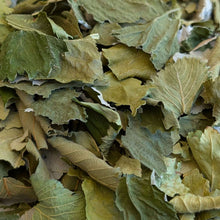 Fruit Leaf Forage |New - BinkyBunny.com House Rabbit Store