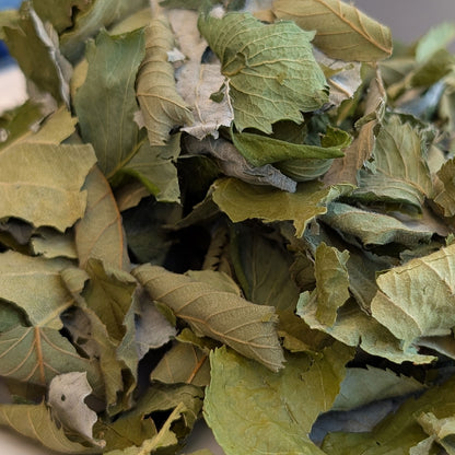 Fruit Leaf Forage |New - BinkyBunny.com House Rabbit Store