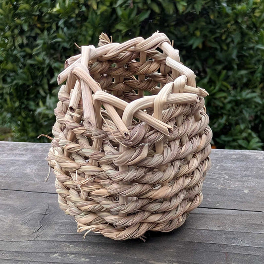 Sea Grass Forage Cup™| NEW