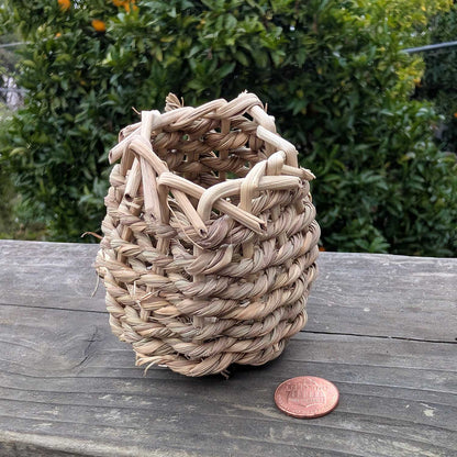 Sea Grass Forage Cup™| NEW