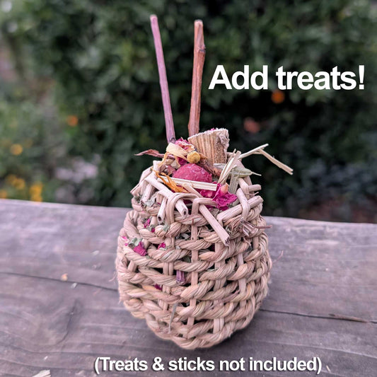 Sea Grass Forage Cup™| NEW