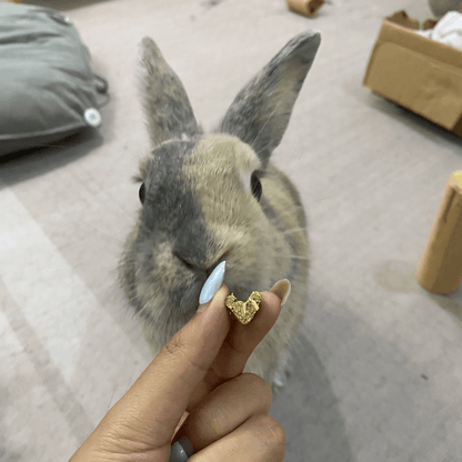 Hoppy Hay Hearts | NEW - BinkyBunny.com House Rabbit Store