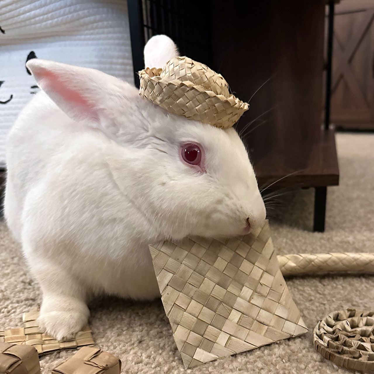 Mini Bunny Hat | NEW - BinkyBunny.com House Rabbit Store