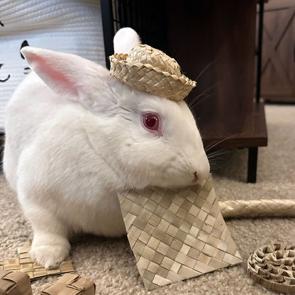Mini Bunny Hat | NEW - BinkyBunny.com House Rabbit Store