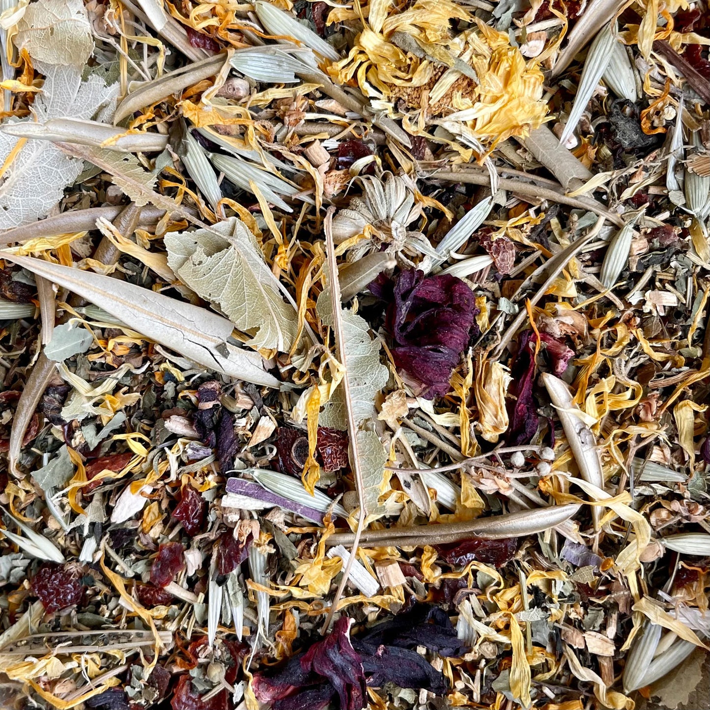 Immune System Support FORAGE | NEW - BinkyBunny.com House Rabbit Store