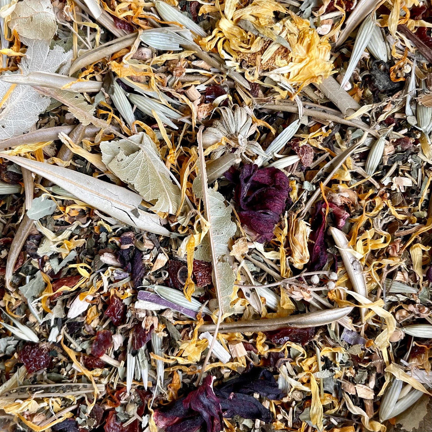 Immune System Support FORAGE | NEW - BinkyBunny.com House Rabbit Store