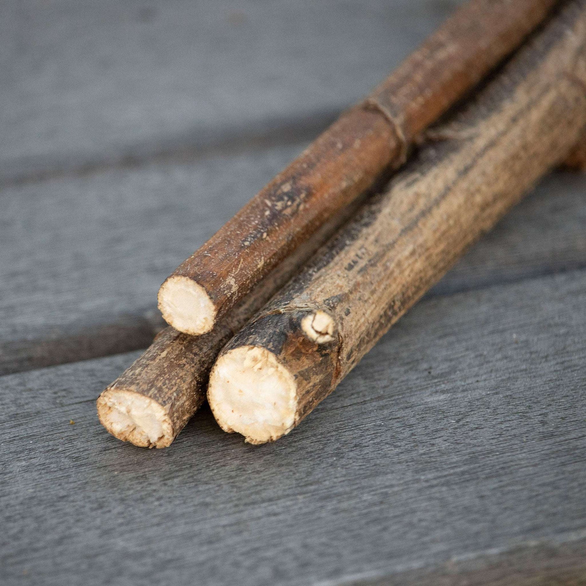 Jerusalem Artichoke Mini Logs (3)  NEW - BinkyBunny.com House Rabbit Store