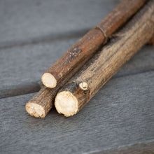 Jerusalem Artichoke Mini Logs (3)  NEW - BinkyBunny.com House Rabbit Store