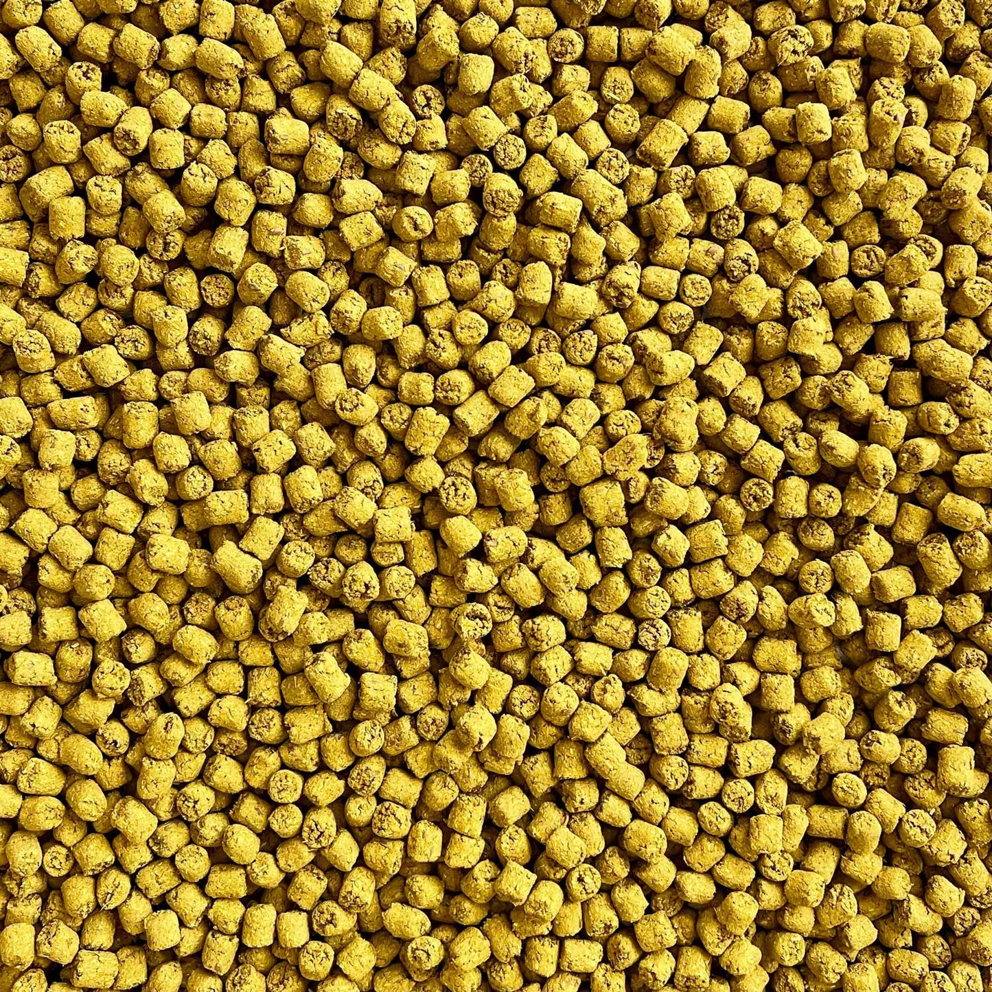 Joint Poppers | NEW - BinkyBunny.com House Rabbit Store