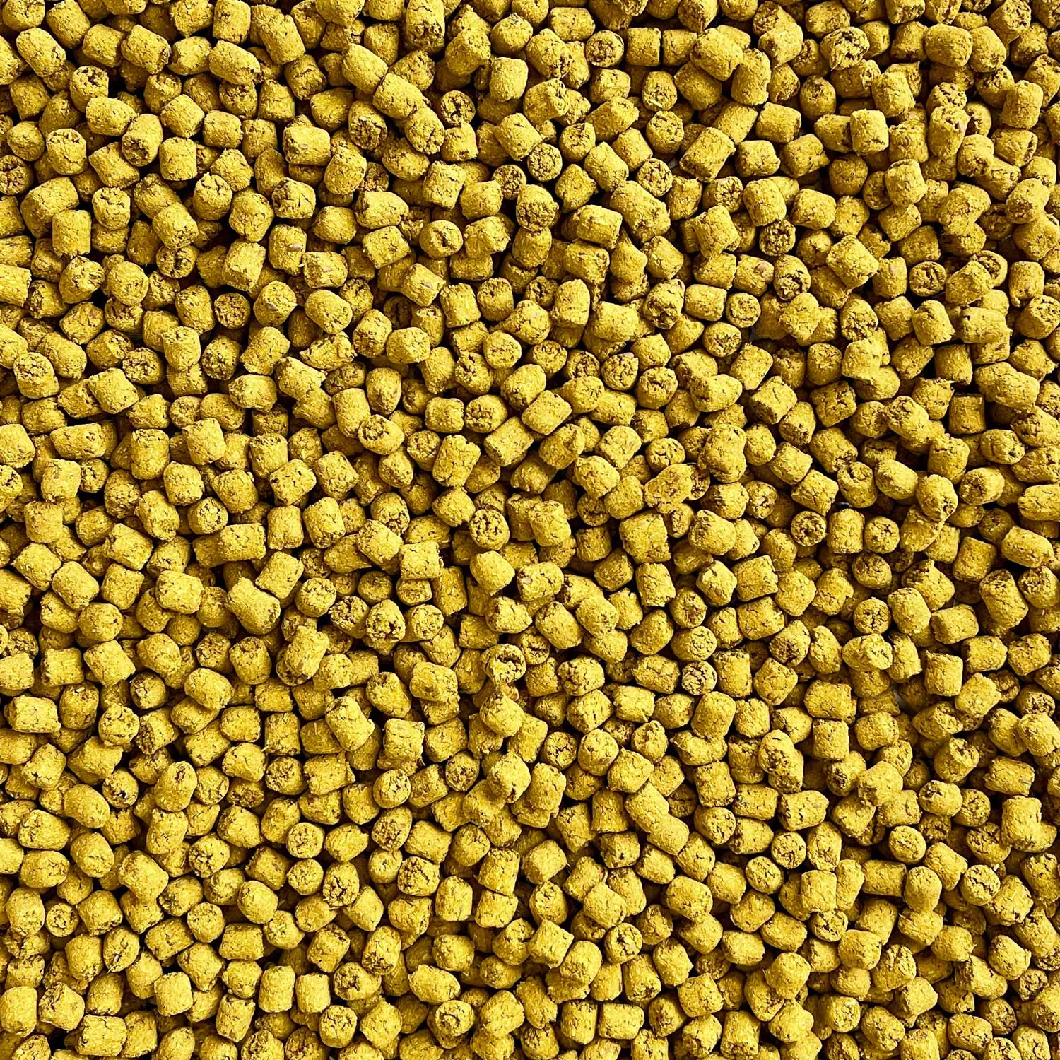 Joint Poppers | NEW - BinkyBunny.com House Rabbit Store