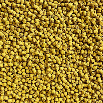 Joint Poppers | NEW - BinkyBunny.com House Rabbit Store