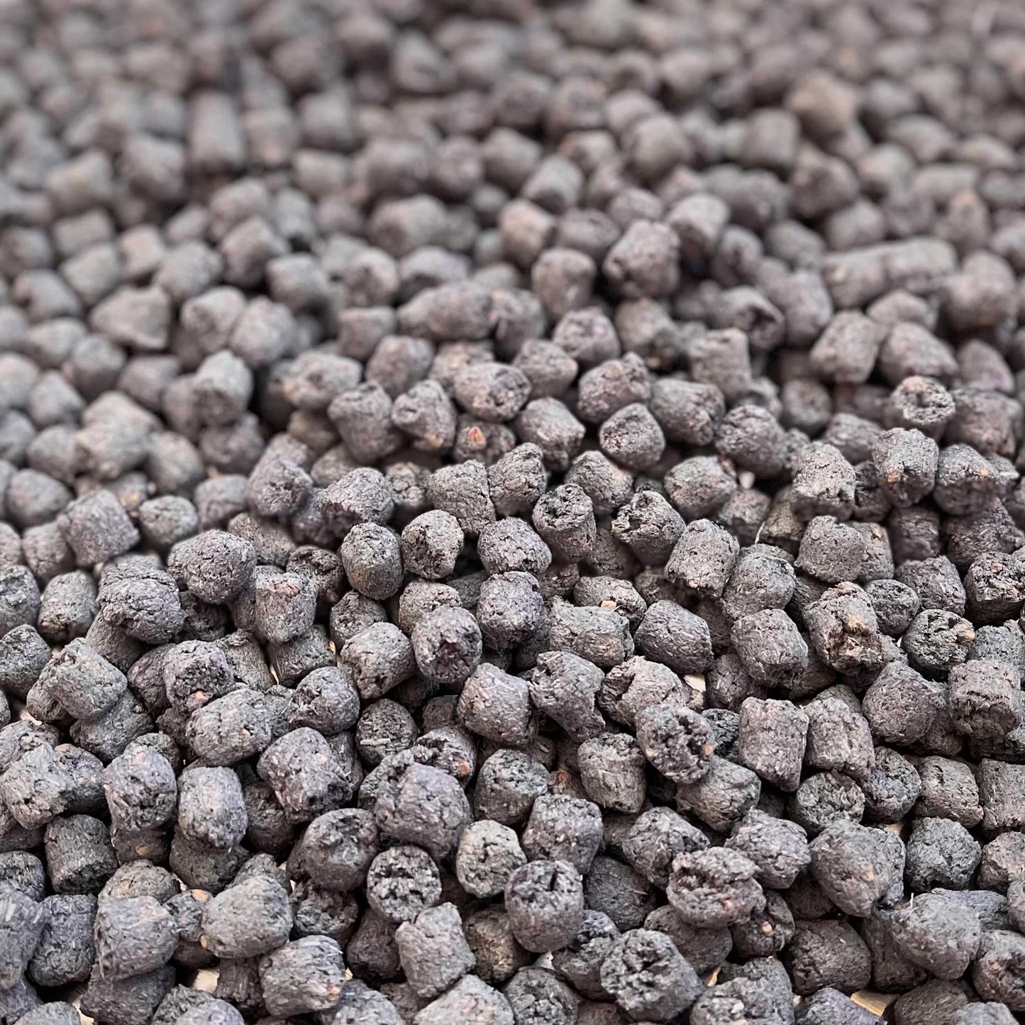 Digest Poppers | NEW - BinkyBunny.com House Rabbit Store