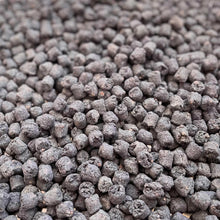 Digest Poppers | NEW - BinkyBunny.com House Rabbit Store