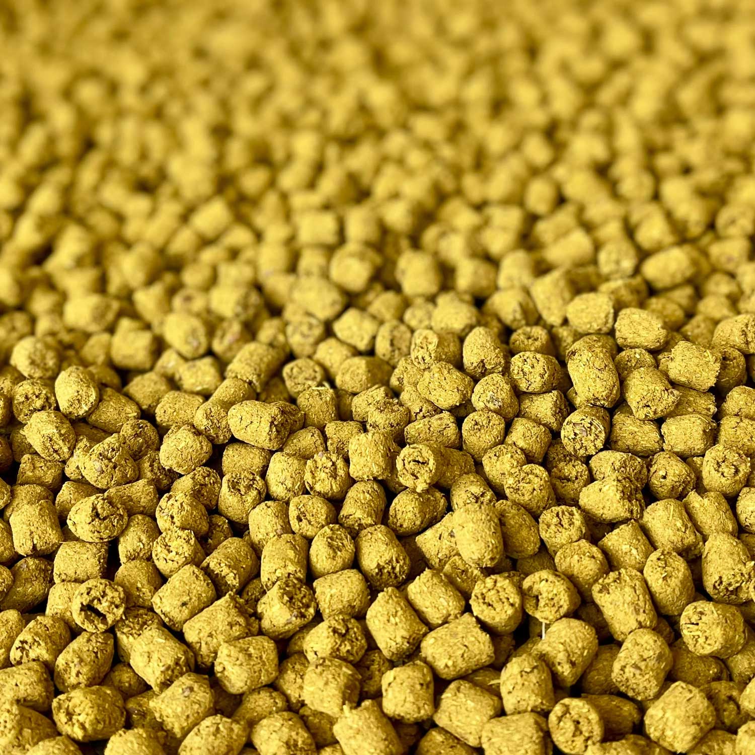 Joint Poppers | NEW - BinkyBunny.com House Rabbit Store