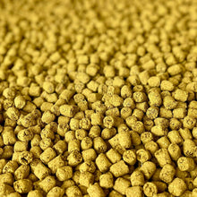 Joint Poppers | NEW - BinkyBunny.com House Rabbit Store