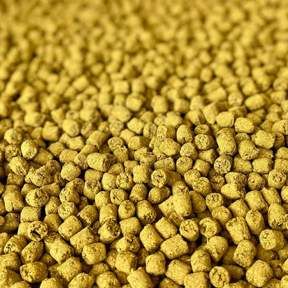 Joint Poppers | NEW - BinkyBunny.com House Rabbit Store