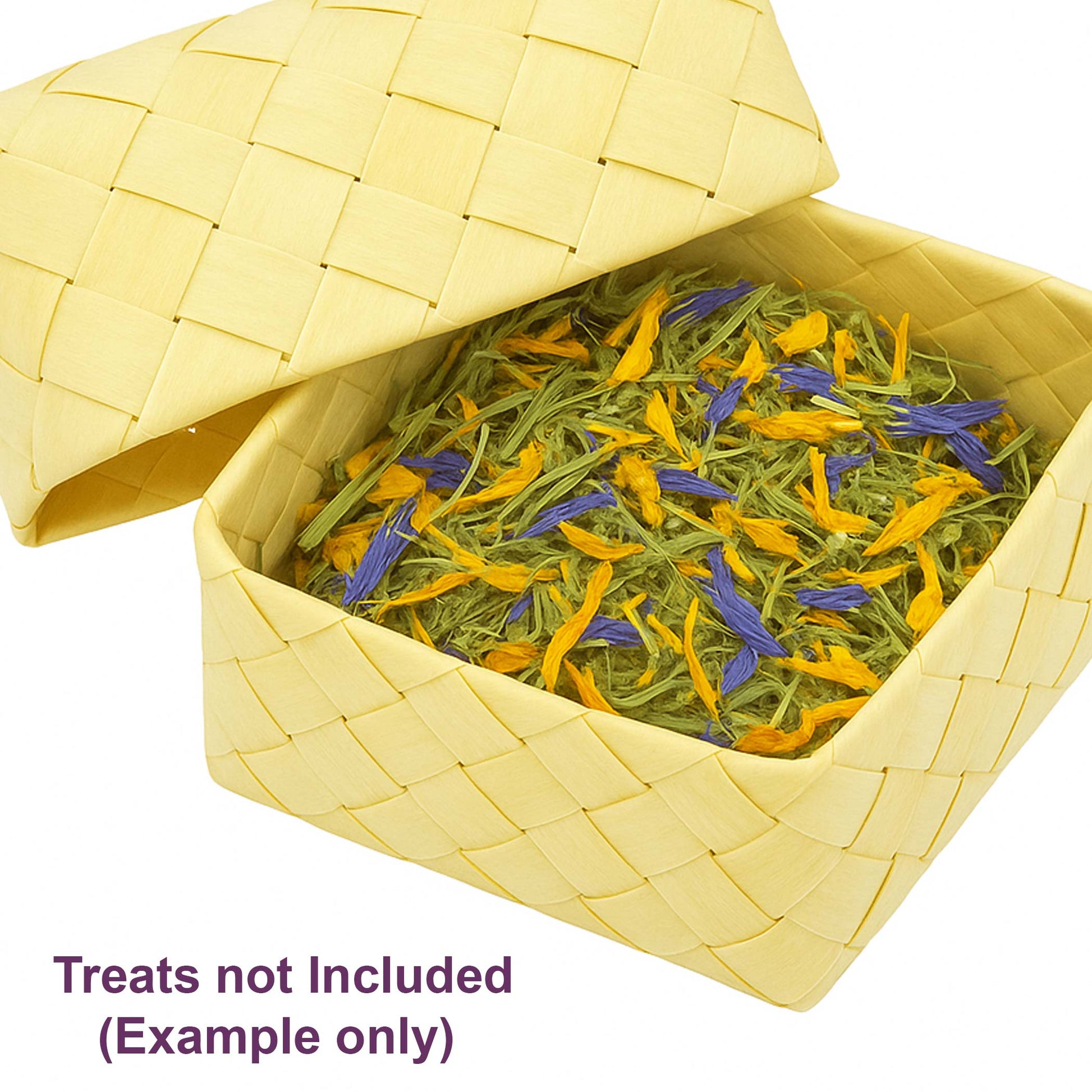 Lil' Palm Box | NEW - BinkyBunny.com House Rabbit Store