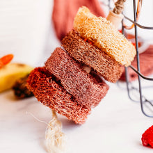 Fruit-Flavored Loofah Kabob Chew Toy| New - BinkyBunny.com House Rabbit Store