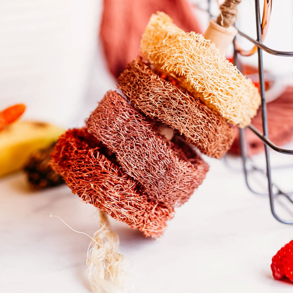 Fruit-Flavored Loofah Kabob Chew Toy| New - BinkyBunny.com House Rabbit Store