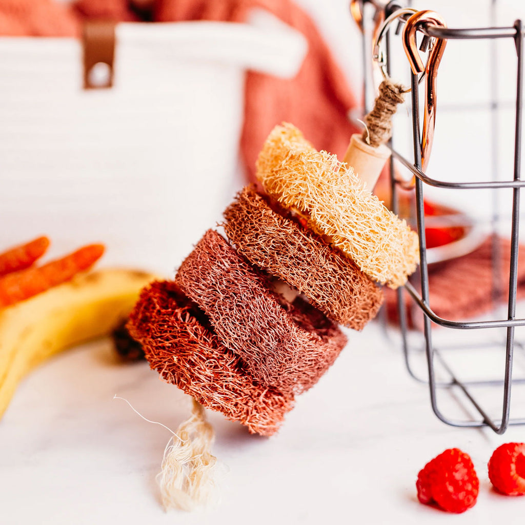 Fruit-Flavored Loofah Kabob Chew Toy| New - BinkyBunny.com House Rabbit Store