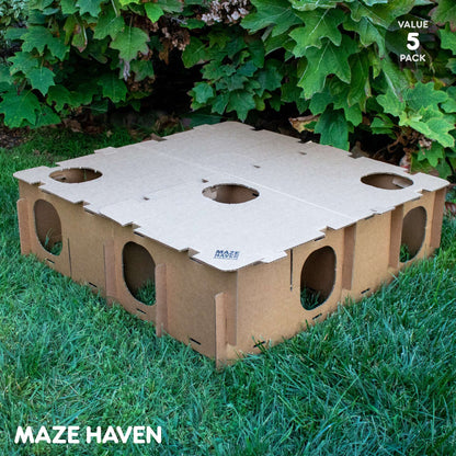 MAZE HAVEN - 5 PACK - BinkyBunny.com House Rabbit Store