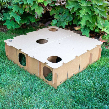 MAZE HAVEN - 5 PACK - BinkyBunny.com House Rabbit Store