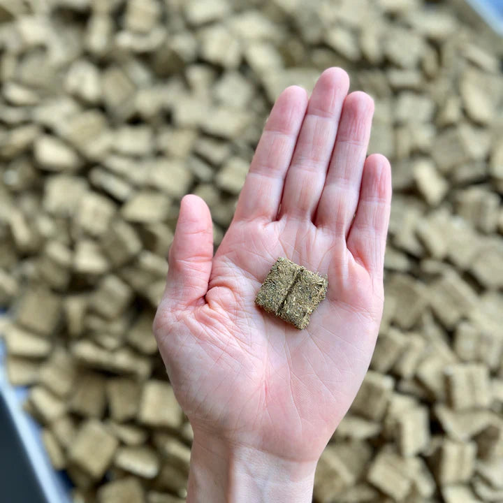 Delilah's Megacolon Tablets - BinkyBunny.com House Rabbit Store