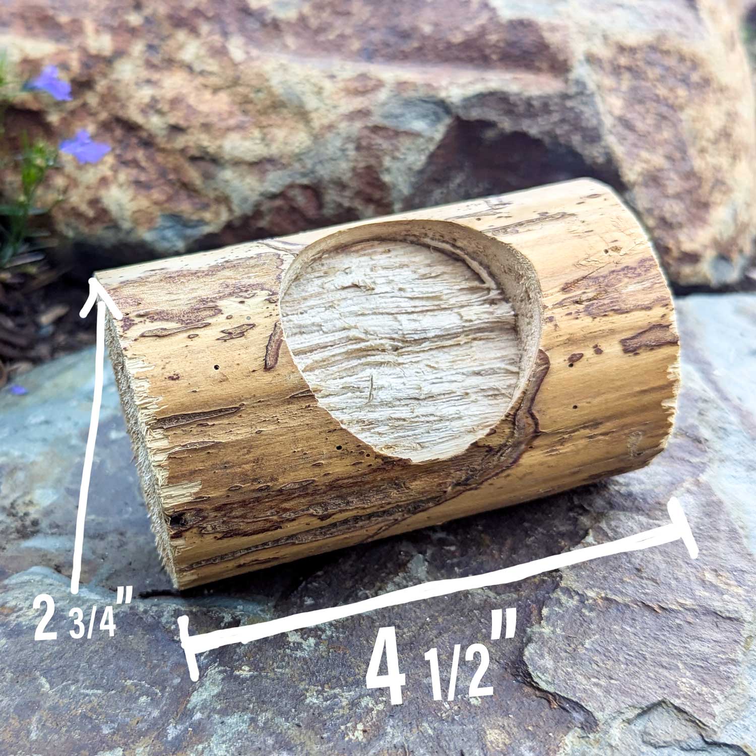 Bunny Blast MINI | NEW - BinkyBunny.com House Rabbit Store
