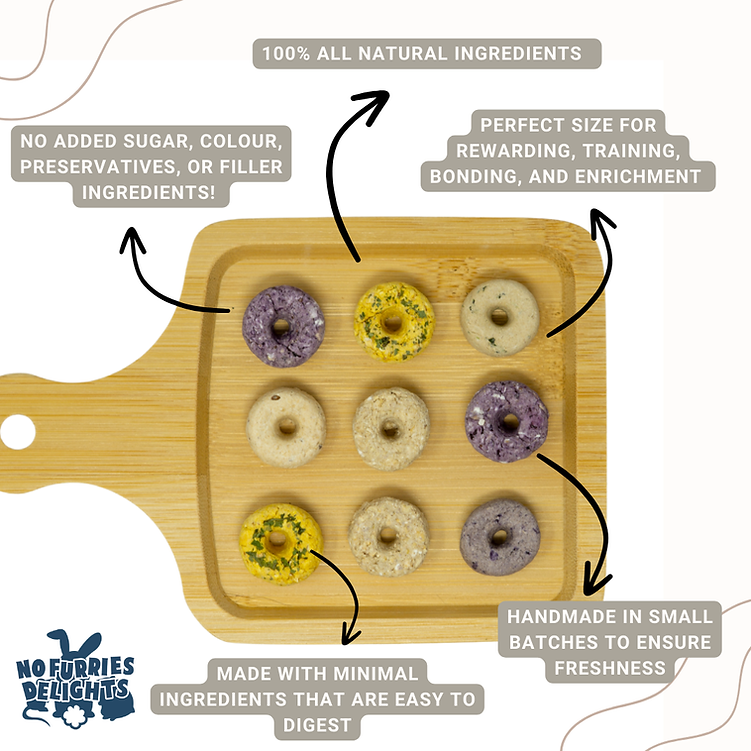 Mini Donut Variety Pack | NEW - BinkyBunny.com House Rabbit Store