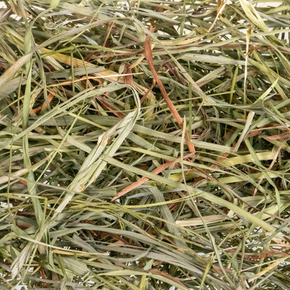Mini Hay Bale - TIMOTHY (1st Cut) - BinkyBunny.com House Rabbit Store