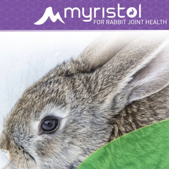 Mobility Tabs featuring Myristol - BinkyBunny.com House Rabbit Store