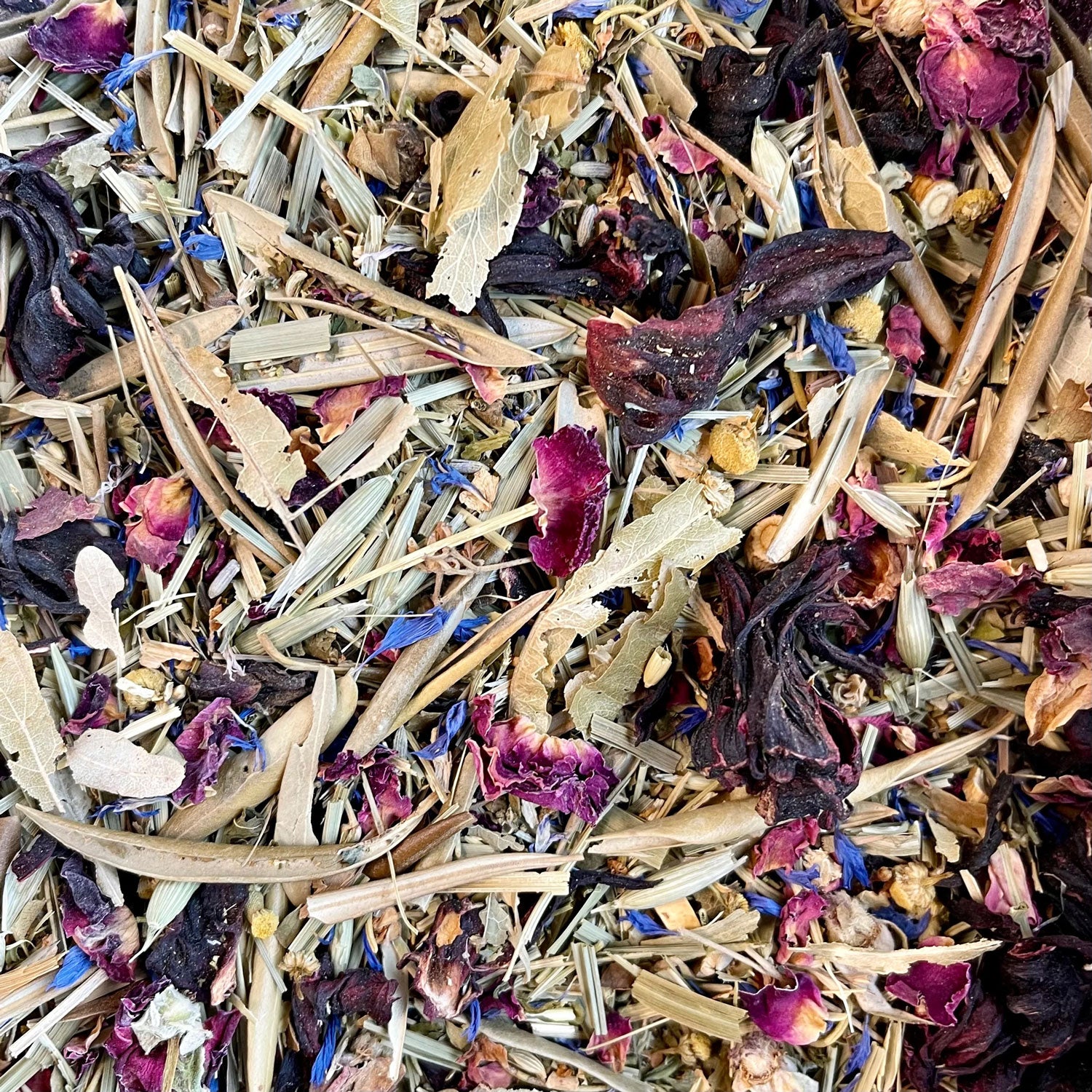 Nervous System FORAGE | NEW - BinkyBunny.com House Rabbit Store